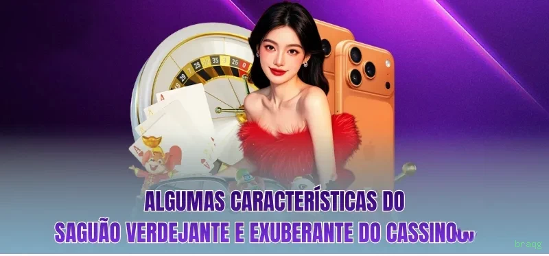Registro braqg - cadastro rápido